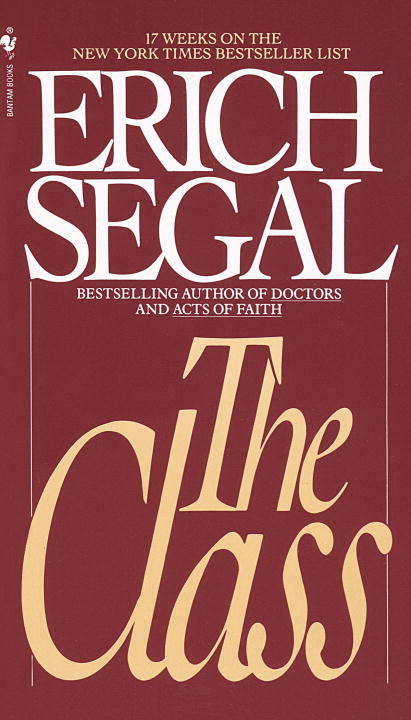 Book cover of The Class