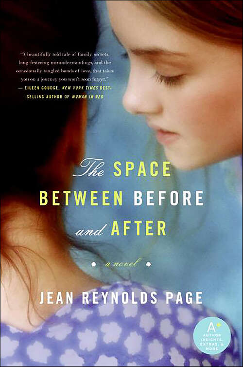 Book cover of The Space Between Before and After: A Novel