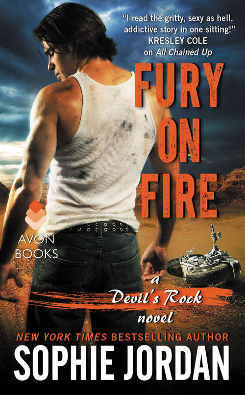 Book cover of Fury on Fire: A Devil's Rock Novel