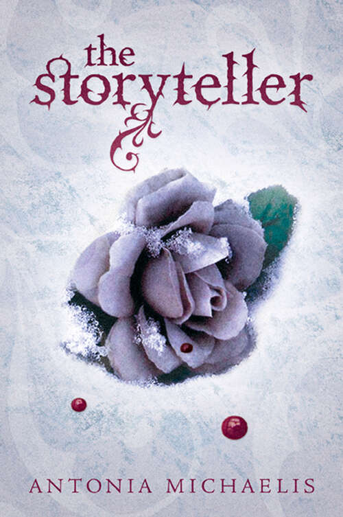 Book cover of The Storyteller