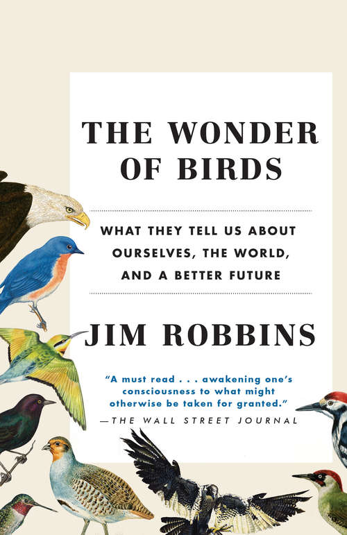Book cover of The Wonder of Birds: What They Tell Us About Ourselves, the World, and a Better Future