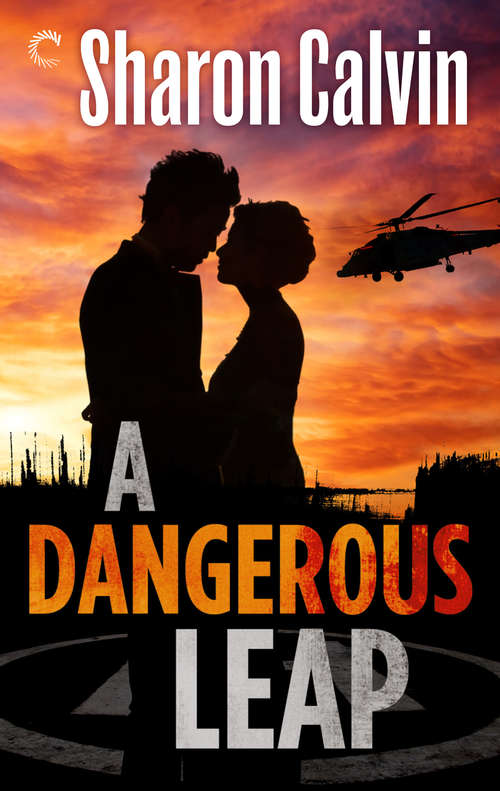 Book cover of A Dangerous Leap