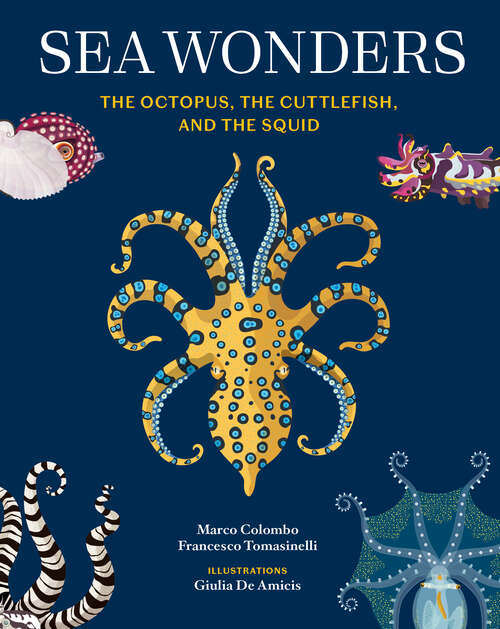 Book cover of Sea Wonders: The Octopus, the Cuttlefish, and the Squid