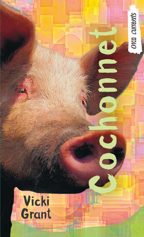 Book cover of Cochonnet