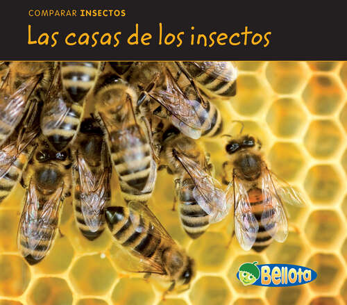 Book cover of Las casas de los insectos (Comparar Insectos Ser.)