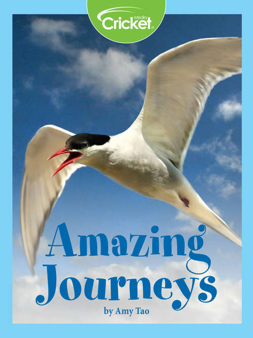 Book cover of Amazing Journeys