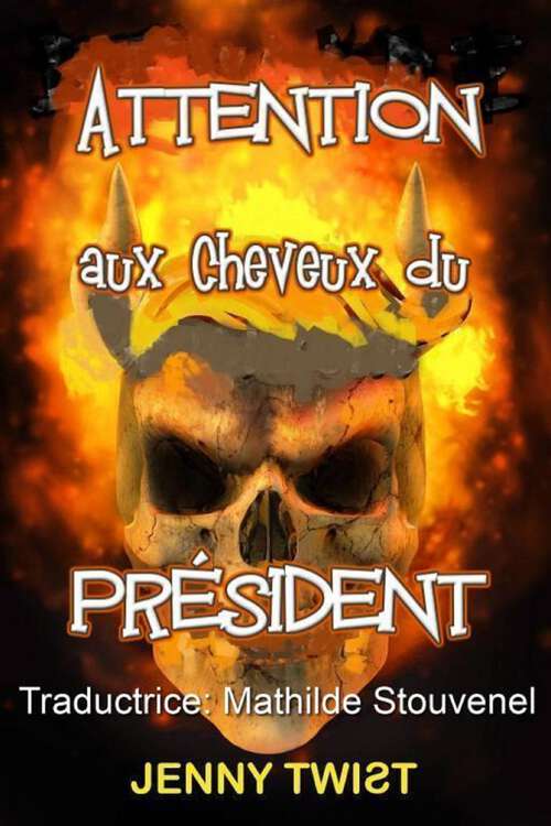 Book cover of ATTENTION aux Cheveux du Président