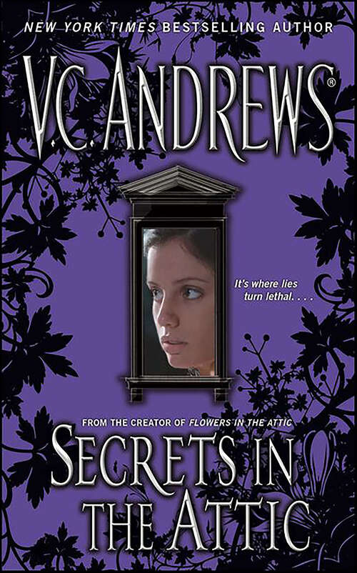 Book cover of Secrets in the Attic (Secrets #1)
