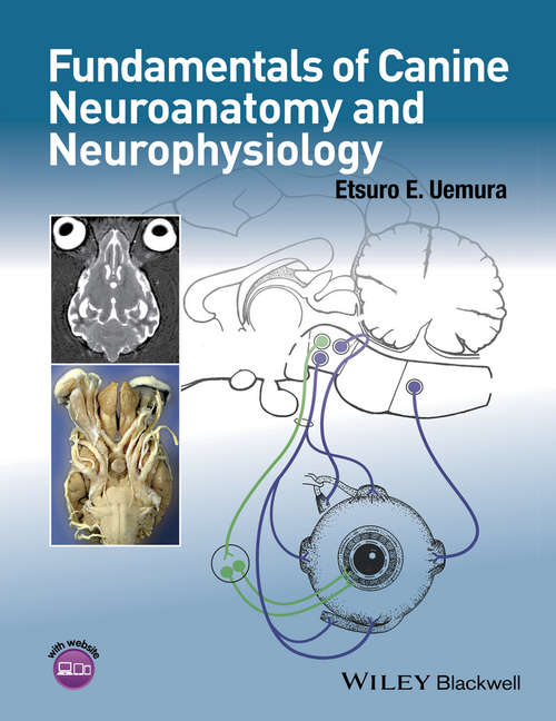 Book cover of Fundamentals of Canine Neuroanatomy and Neurophysiology