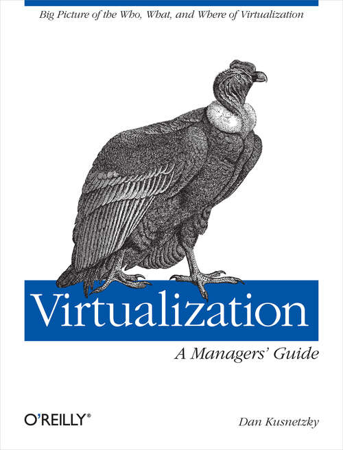 Book cover of Virtualization: Big Picture of the Who, What, and Where of Virtualization