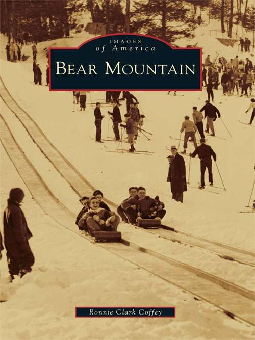 Book cover of Bear Mountain