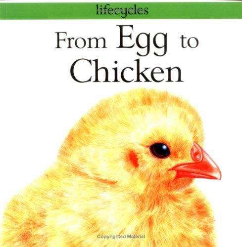 Book cover of From Egg to Chicken (Lifecycles Series)