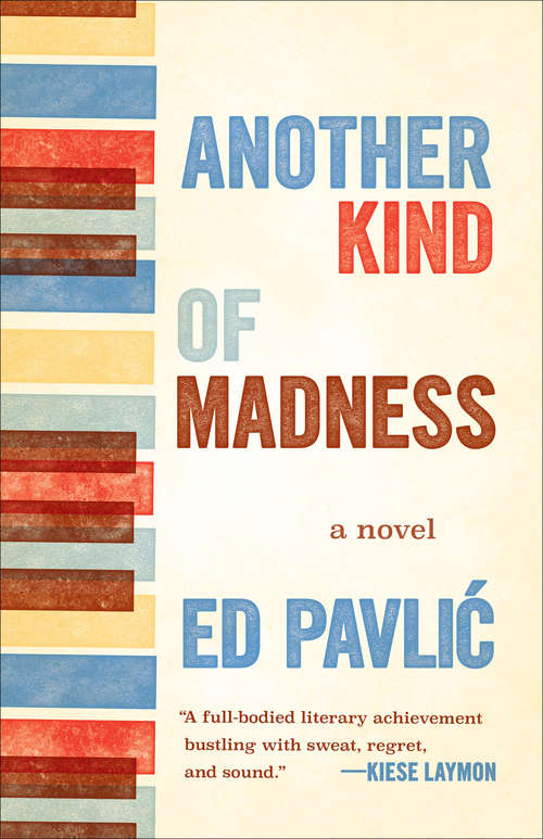 Another Kind of Madness: A Novel