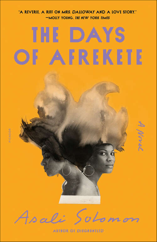 Book cover of The Days of Afrekete: A Novel