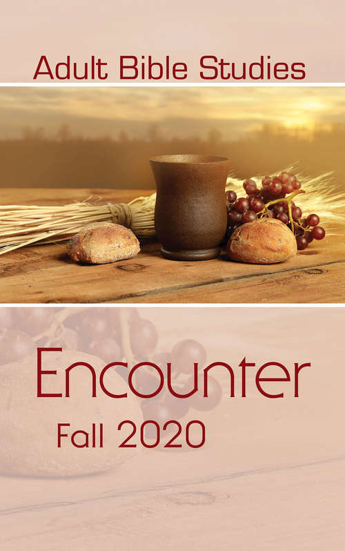 Book cover of Adult Bible Studies Fall 2020 Student: Encounter