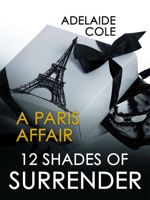 Book cover of A Paris Affair
