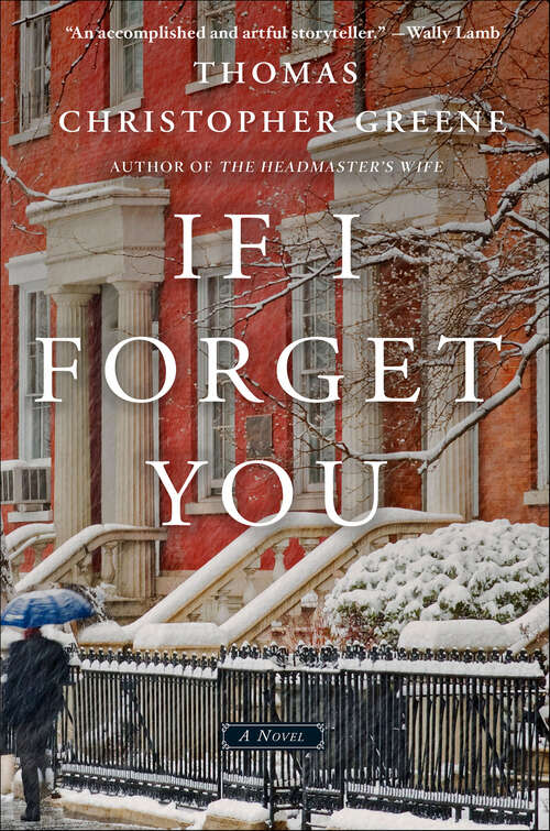 Book cover of If I Forget You: A Novel