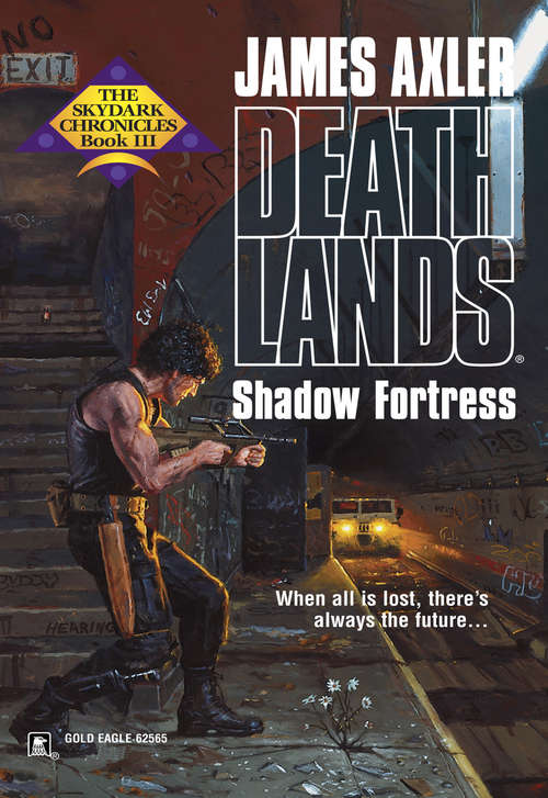 Book cover of Shadow Fortress
