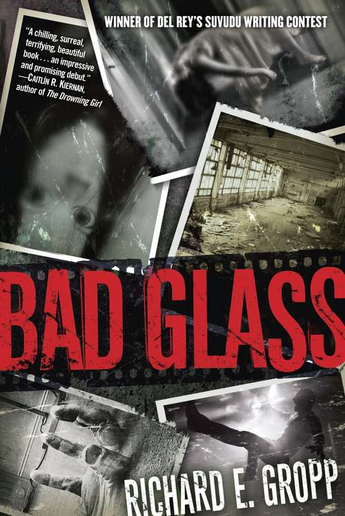 Book cover of Bad Glass: A Novel