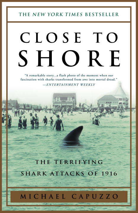Book cover of Close to Shore