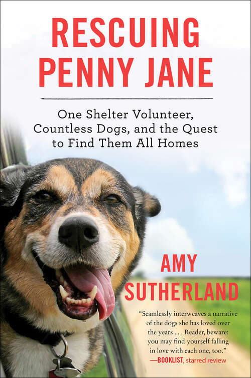 Book cover of Rescuing Penny Jane: One Shelter Volunteer, Countless Dogs, and the Quest to Find Them All Homes