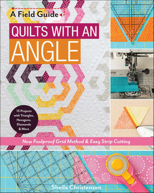 Book cover of Quilts with an Angle: A Field Guide