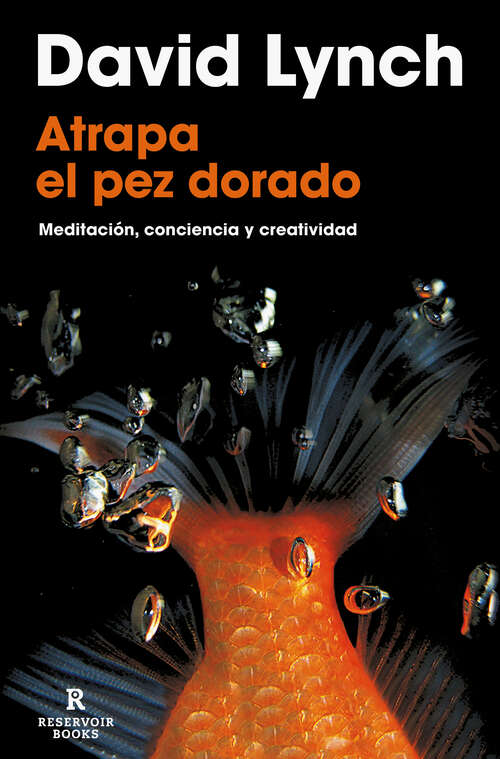 Book cover of Atrapa el pez dorado: Meditación, conciencia y creatividad