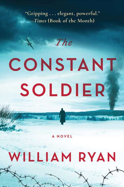 Book cover of The Constant Soldier: A Novel