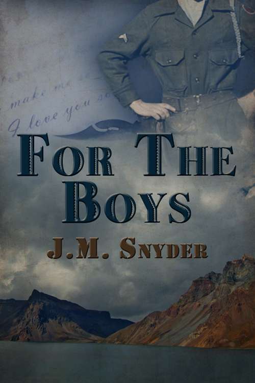 Book cover of For the Boys