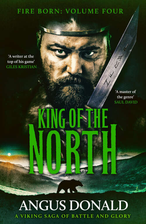 Book cover of King of the North: A Viking saga of battle and glory (Fire Born)