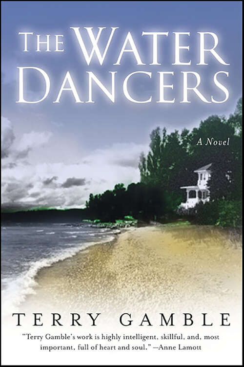 Book cover of The Water Dancers: A Novel