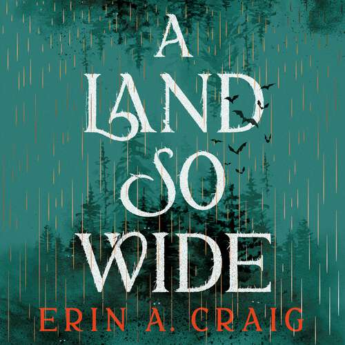 Book cover of A Land So Wide: A breathtaking, deliciously dark fairy tale from #1 New York Times and USA Today bestselling author Erin A. Craig