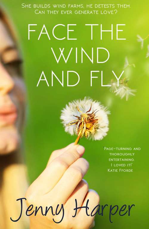 Book cover of Face the Wind and Fly