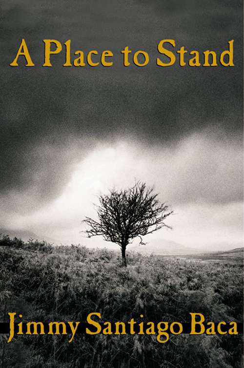 Book cover of A Place to Stand: the Making of a Poet