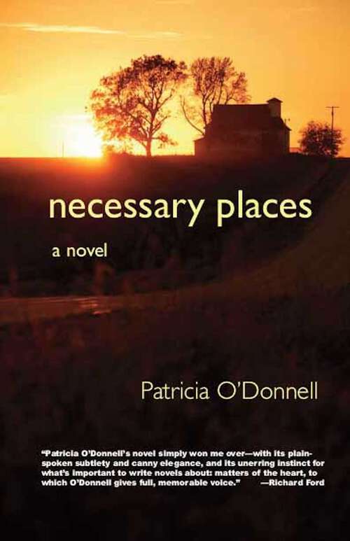 Book cover of Necessary Places: A Novel