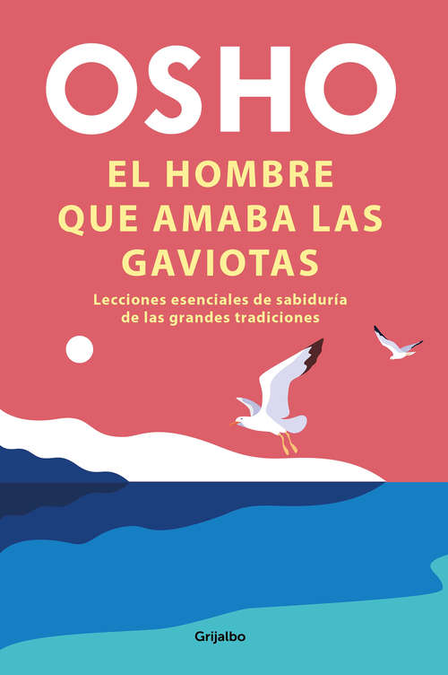 Book cover of El hombre que amaba las gaviotas