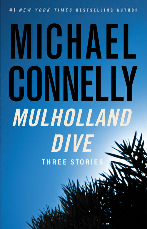 Book cover of Mulholland Dive