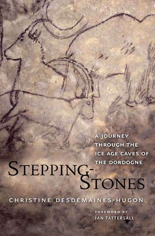 Book cover of Stepping-Stones: A Journey through the Ice Age Caves of the Dordogne