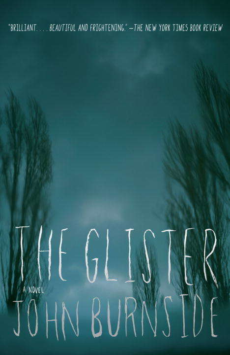 Book cover of The Glister