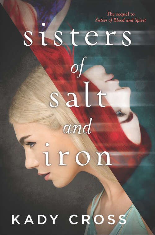Book cover of Sisters of Salt and Iron (Sisters of Blood and Spirit #2)