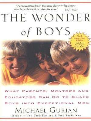 Book cover of The Wonder of Boys
