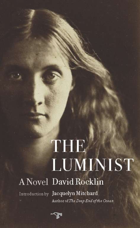 Book cover of The Luminist