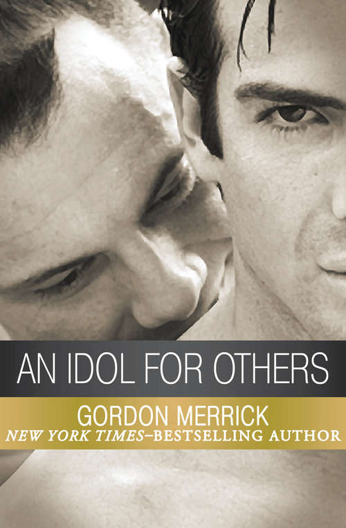 Book cover of An Idol for Others