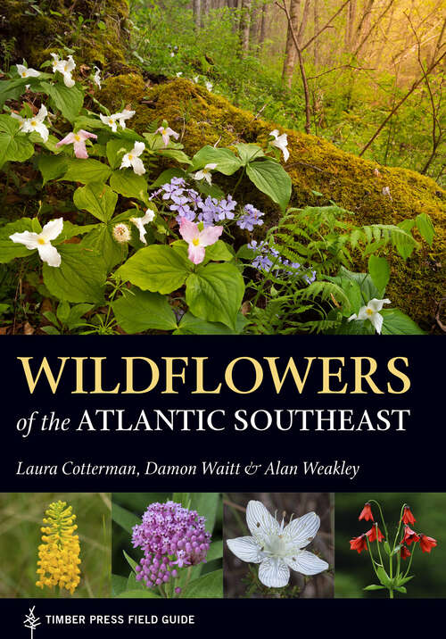 Wildflowers of the Atlantic Southeast (A Timber Press Field Guide)