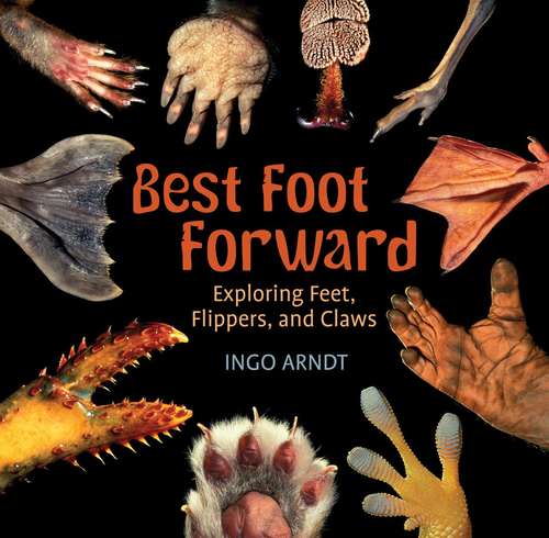 Book cover of Best Foot Forward: Exploring Feet, Flippers, and Claws (Into Reading, Big Book Module #3)