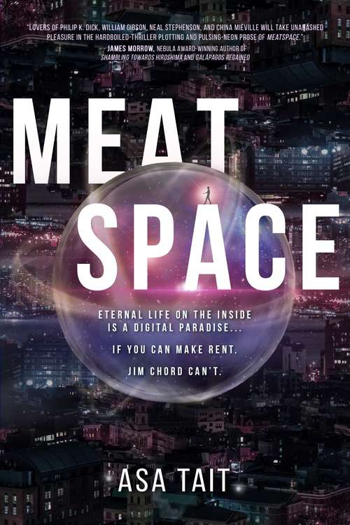 Book cover of Meatspace