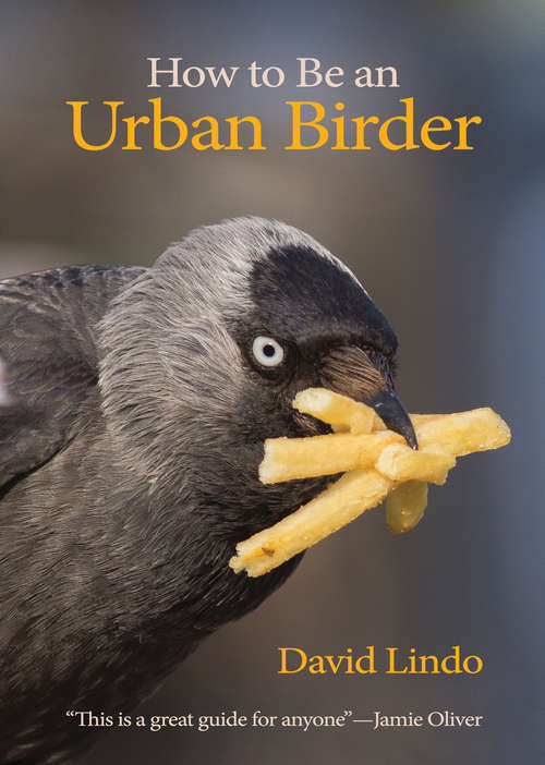 How to Be an Urban Birder (Wildguides Ser. #13)