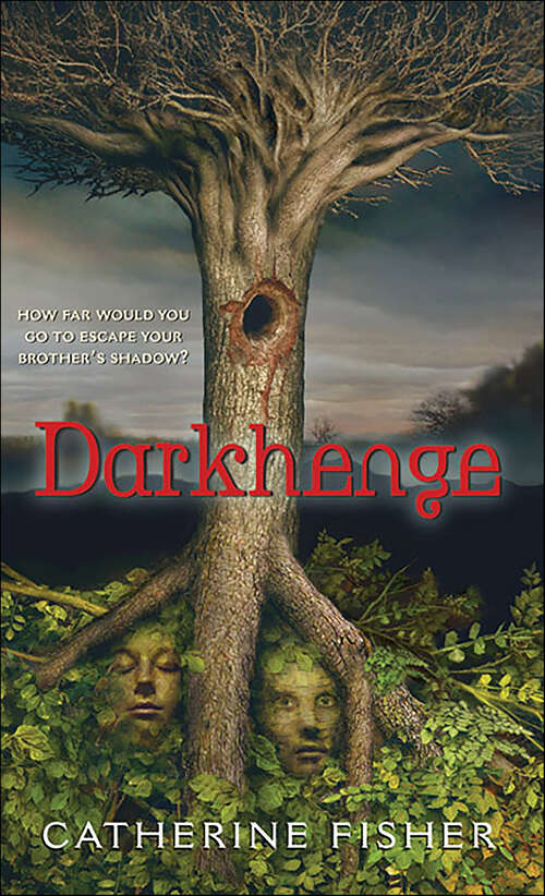 Book cover of Darkhenge
