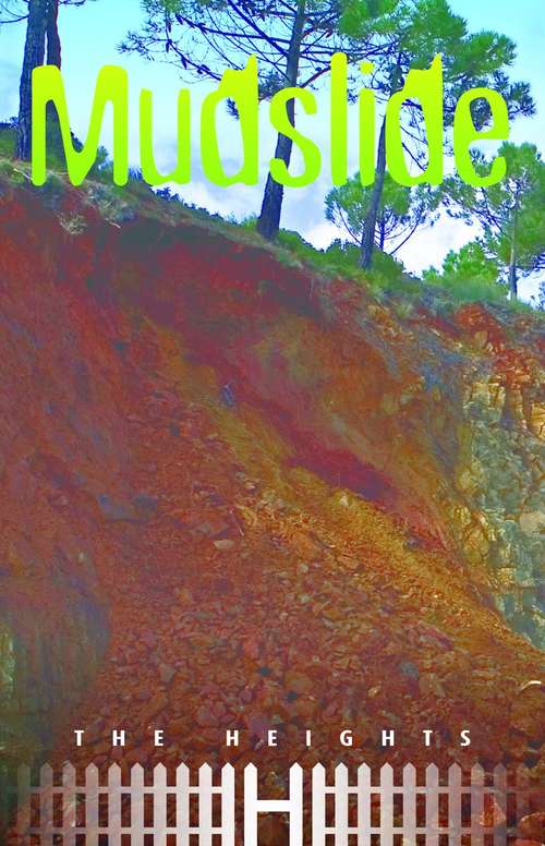 Book cover of Mudslide