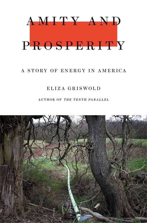 Book cover of Amity and Prosperity: One Family and the Fracturing of America